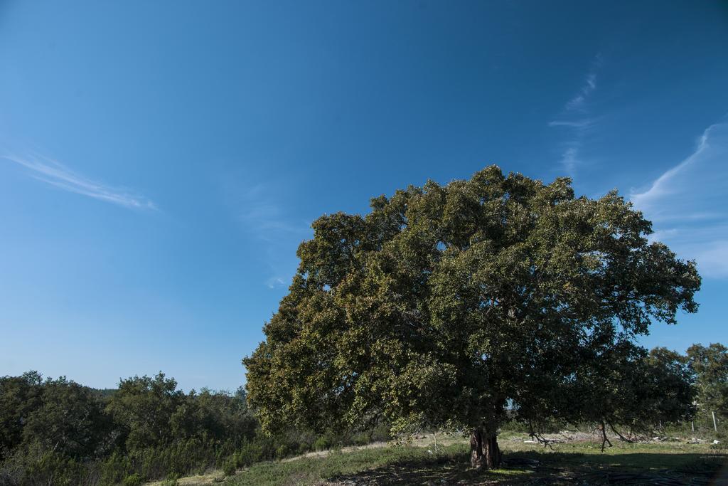 オデミラ Refugio Do Monteゲストハウス エクステリア 写真